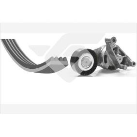 Acquista Kit Cinghie Poly-V da HUTCHINSON KHV 172 a buon mercato per soli 101,71 €