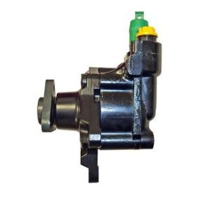 Achetez des Pompe de direction assistée LIZARTE 04.95.0150 à prix pour 300,86 €