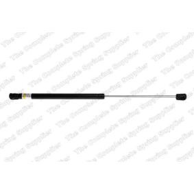 Heckklappendämpfer 8175708 ROVER MAESTRO von LESJÖFORS