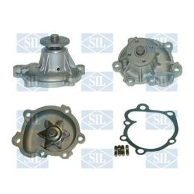 Achetez des Pompe à eau de chez Saleri SIL en ligne pour DYNA 100 Camion plate-forme/Châssis (YH_) à prix modérés