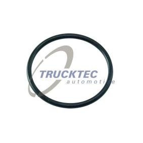 Dichtring 01.67.029