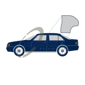 Compre Guia, botão da tranca da TRUCKTEC AUTOMOTIVE 02.54.025 a um preço baixo por 6,62 €