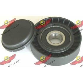 Umlenk- / Führungsrolle, Keilrippenriemen 03.165 von AUTOKIT günstig für 63,71 € online kaufen