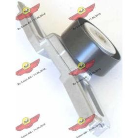 Achetez des Galet tendeur de courroie d'accessoire AUTOKIT 03.258 à prix pour 120,59 €