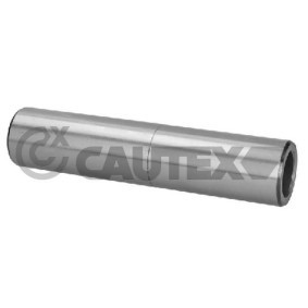 Lagerung, Achsstrebe 031443 von CAUTEX günstig für 99,69 € online kaufen