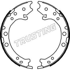 Bremsbackensatz, Feststellbremse 044.026 von TRUSTING günstig für 49,14 € online kaufen