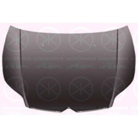 Zierleiste, Stoßstange 0531922 von KLOKKERHOLM günstig für 24,24 € online kaufen