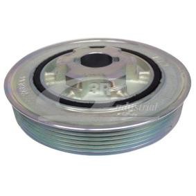 Achetez des Poulie damper (vilebrequin) 3RG 10249 à prix pour 71,00 €