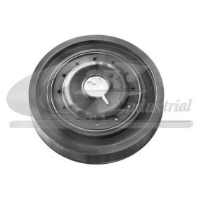 Achetez des Poulie damper (vilebrequin) 3RG 10623 à prix pour 51,22 €