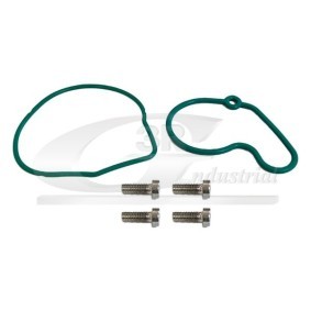 Riemenscheibe, Kurbelwelle 10667 von 3RG günstig für 47,95 € online kaufen