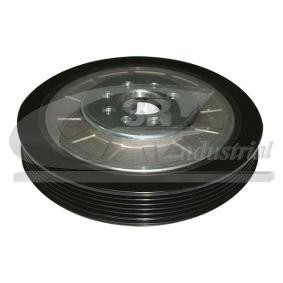 Achetez des Poulie damper (vilebrequin) 3RG 10712 à prix pour 71,25 €