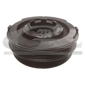 Achetez des Poulie damper (vilebrequin) 3RG 10807 à prix pour 142,86 €