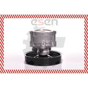 Servopumpe 10SKV079 von ESEN SKV günstig für 188,73 € online kaufen