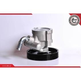 Servopumpe 10SKV163 von ESEN SKV günstig für 159,52 € online kaufen