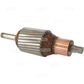 Comprar Soporte, escobillas de carbón de HC-Cargo 132113 a bajo precio de 1,20 €