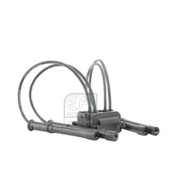 Køb Tændspole af EFI AUTOMOTIVE 151405 til den lave pris 501,48 DKK