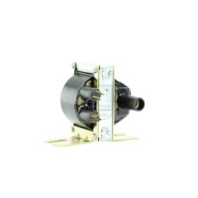 Acquista Bobina d'accensione da EFI AUTOMOTIVE 155065 a buon mercato per soli 184,03 €