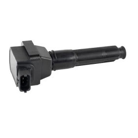 Zündspule 155438 von EFI AUTOMOTIVE günstig für 203,35 € online kaufen