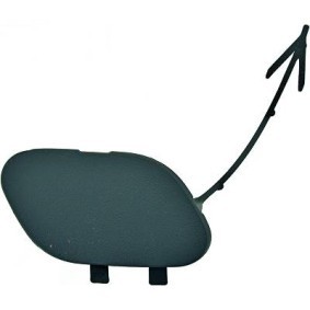 Klappe, Abschlepphaken 1815061 von DIEDERICHS günstig für 14,73 € online kaufen