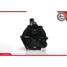Compre Bomba de vácuo, sistema de travagem da ESEN SKV 18SKV003 a um preço baixo por 103,21 €