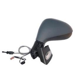 Außenspiegel 24544255 von IPARLUX günstig für 59,31 € online kaufen