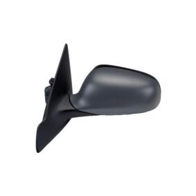 Compre Espelho retrovisor da IPARLUX 27391001 a um preço baixo por 248,41 €