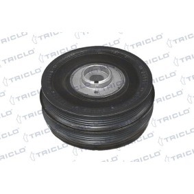Riemenscheibe, Kurbelwelle 426005 von TRICLO günstig für 207,00 € online kaufen