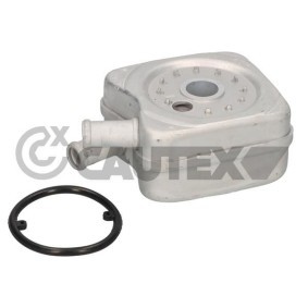 Acquista Radiatore olio motore da CAUTEX 462419 a buon mercato per soli 41,52 €
