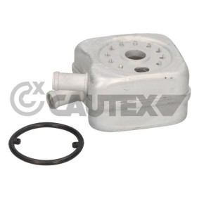 Acquista Radiatore olio motore da CAUTEX 462435 a buon mercato per soli 46,61 €