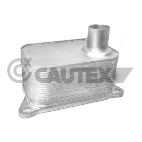 Acquista Radiatore olio motore da CAUTEX 462518 a buon mercato per soli 128,70 €