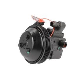 Acquista Pompa idraulica, sterzo da LAUBER 55.6172 a buon mercato per soli 184,87 €