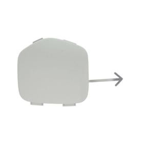 Klappe, Abschlepphaken 5513-00-8102920P von BLIC günstig für 15,57 € online kaufen