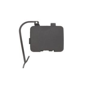Klappe, Abschlepphaken 5513-00-9060920P von BLIC günstig für 14,99 € online kaufen