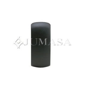 Abdeckung, Außenspiegel 57301250 von JUMASA günstig für 54,25 € online kaufen