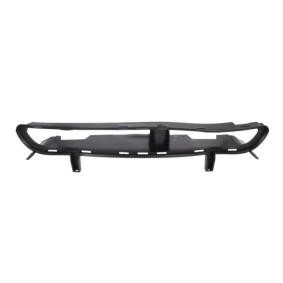 Acquista Griglia paraurti da BLIC 6502-07-9009920P a buon mercato per soli 39,04 €