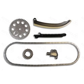 Steuerkettensatz 711047 von AUTEX günstig für 62,17 € online kaufen