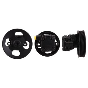 Acquista Pompa idraulica, sterzo da DRI 715521370 a buon mercato per soli 183,93 €