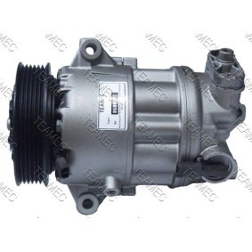 Acquista Compressore aria condizionata da TEAMEC 8600282 a buon mercato per soli 239,37 €