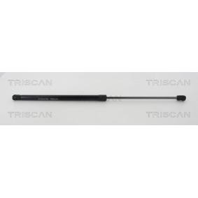 Motorhaubendämpfer 8710 20110 von TRISCAN günstig für 32,21 € online kaufen