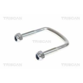 Acquista Staffa attacco molla da TRISCAN 8765 100014 a buon mercato per soli 17,24 €