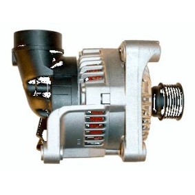 Lichtmaschine 9039100 von ROTOVIS Automotive Electrics günstig für 148,89 € online kaufen