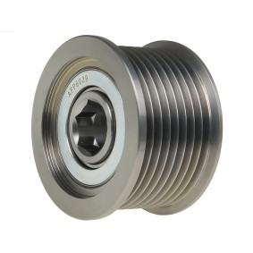 Comprar Rueda libre de alternador de AS-PL AFP6029 a bajo precio de 30,52 €