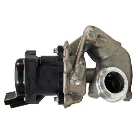 AGR-Ventil EGR019 von LIZARTE günstig für 151,24 € online kaufen