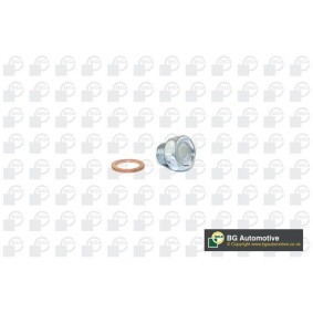 Acquista Vite di chiusura, vaschetta dell'olio da BGA PK9502 a buon mercato per soli 6,49 €