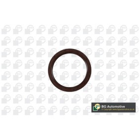 Kipphebel, Motorsteuerung RA0692 von BGA günstig für 17,88 € online kaufen