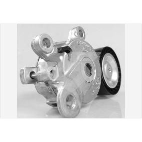 Acquista Rullo tenditore cinghia Poly-V da HUTCHINSON T0453 a buon mercato per soli 80,62 €
