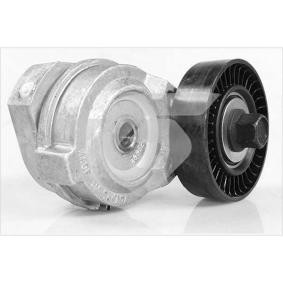 Acquista Rullo tenditore cinghia Poly-V da HUTCHINSON T0550 a buon mercato per soli 109,10 €