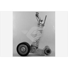 Acquista Rullo tenditore cinghia Poly-V da HUTCHINSON T0581 a buon mercato per soli 95,59 €