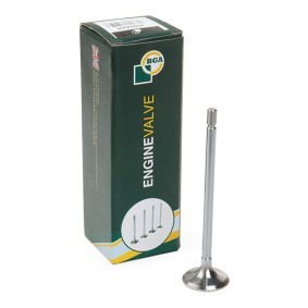 Compre Válvula de drenagem da BGA V991724 a um preço baixo por 7,48 €
