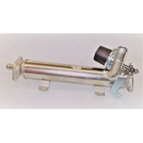 Compre Radiador EGR da AUTEX 963016 a um preço baixo por 450,95 €